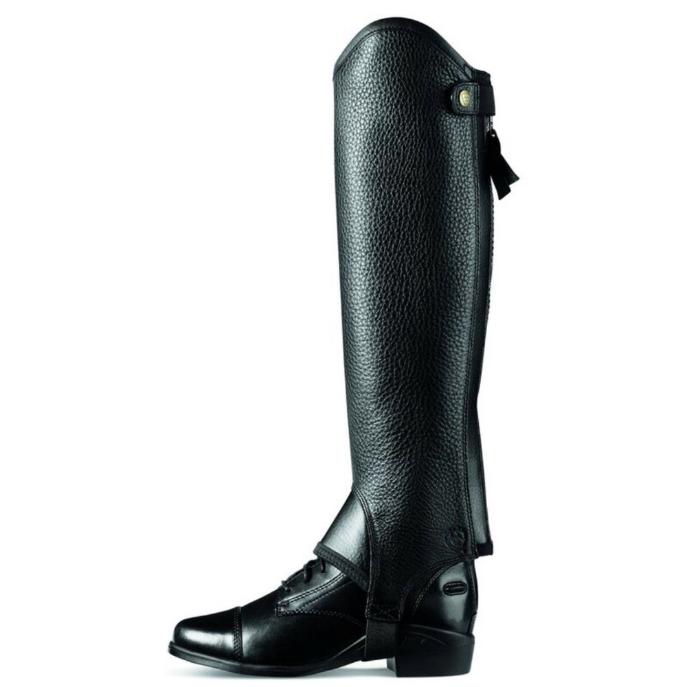 Ariat Concord Chap Half Chap XS - Picture 2 of 7